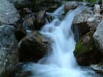 Dscg0417