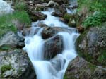 Dscg0423